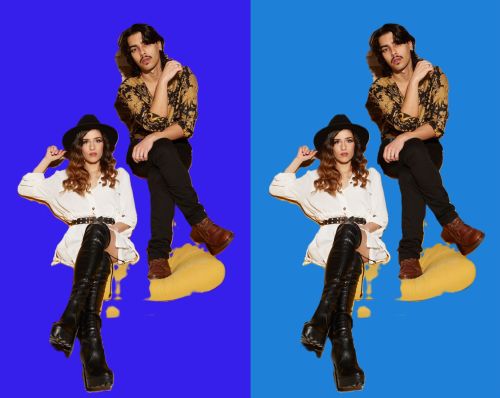 Macaca Radiata en Las Salinas